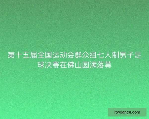 第十五届全国运动会群众组七人制男子足球决赛在佛山圆满落幕